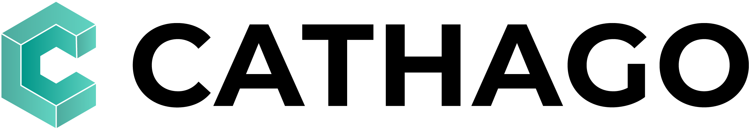 CATHAGO Bausoftware 